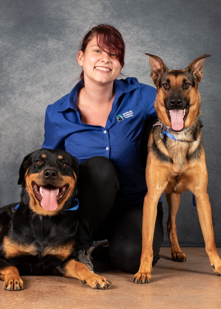 Our Team Woodland Veterinary Hospital