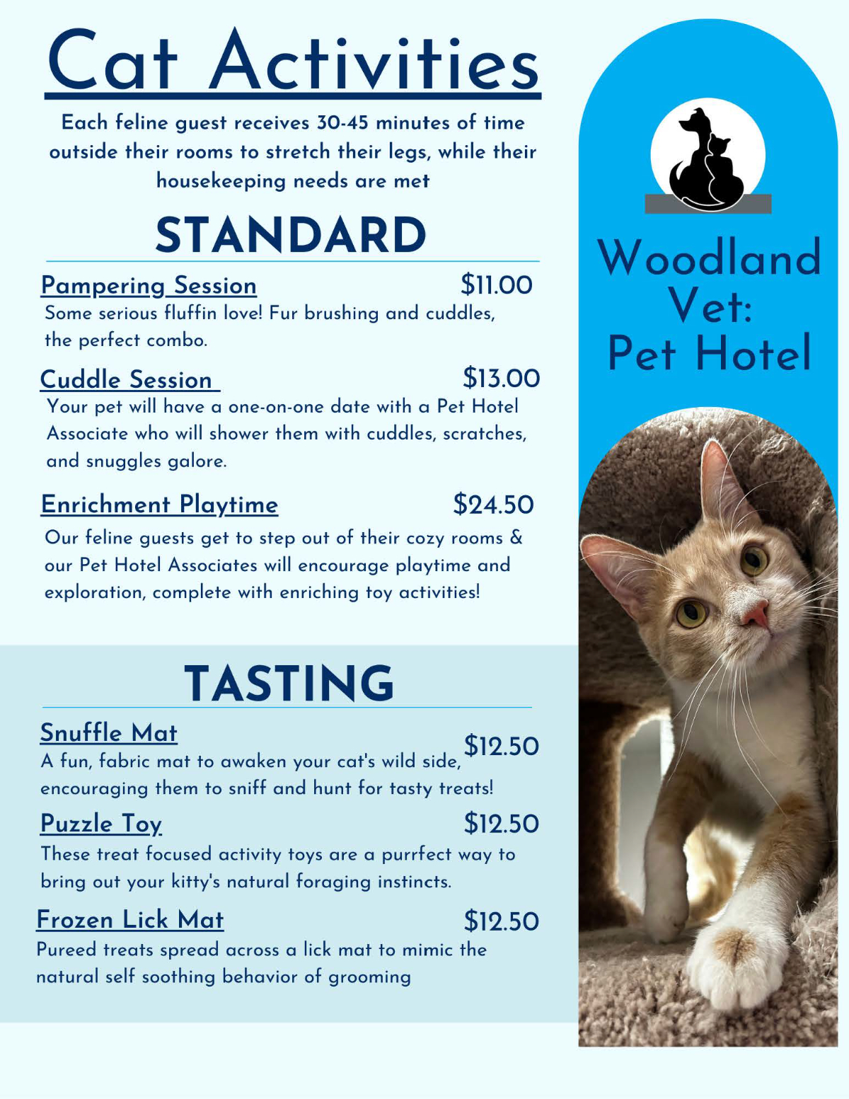 Cat Activities Menu 2025