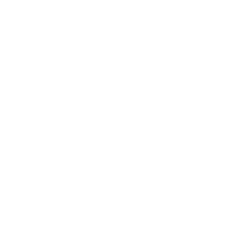 close-up of gray cat being held