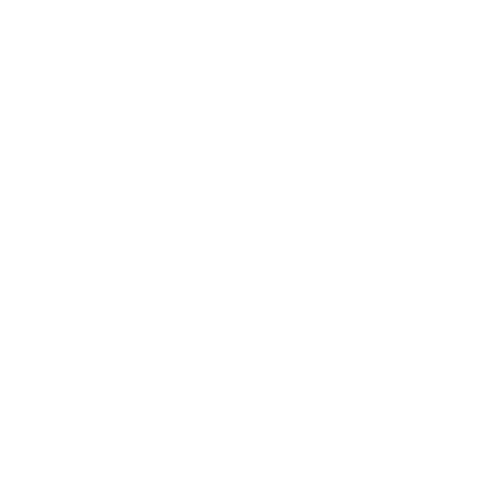 Pet Boarding Icon