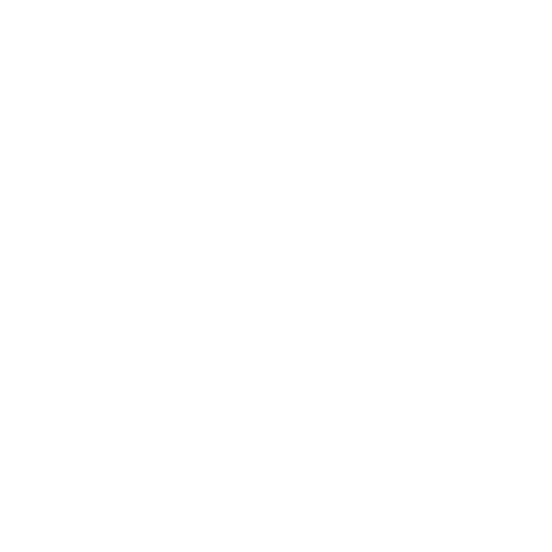 close-up of gray cat being held