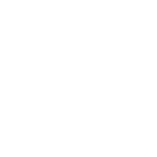 close-up of gray cat being held