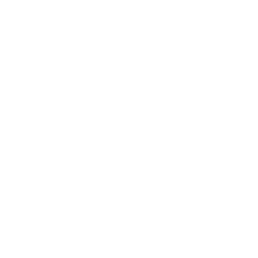 Pet xray icon