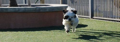 196775_489600377744706_1267088200_n