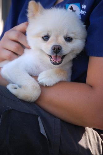 263089_218168354887911_2876554_n