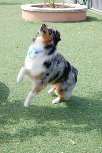 265189_218169214887825_8028021_n