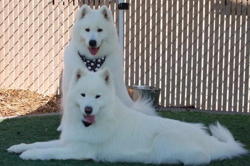 272855_219108221460591_1472824_o