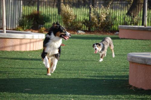 279983_218169638221116_545435_o