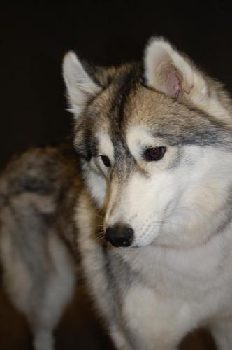 294518_261680323870047_2091941599_n