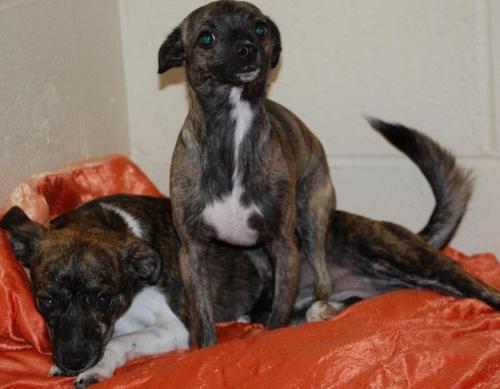 295821_264624763575603_589703342_n