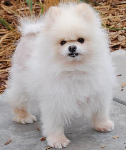 299749_260843637287049_380839962_n