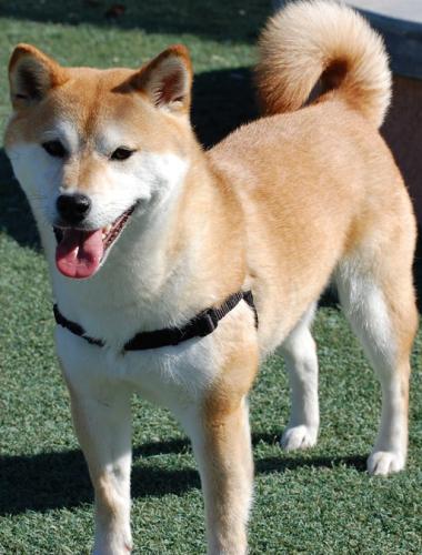 306445_265475306823882_1933414721_n