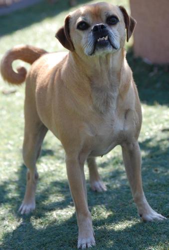 308519_265029973535082_2126624545_n