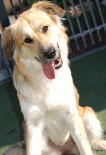 309043_266466186724794_1525938245_n