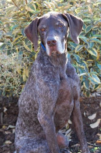 315929_252283044809775_2110063946_n