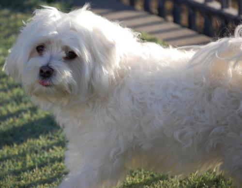 315929_252283051476441_1322357173_n