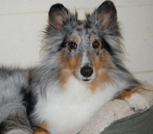 316380_259002347471178_801147996_n