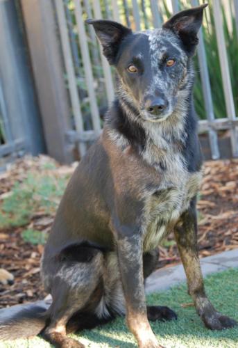 320111_262497863788293_522546749_n