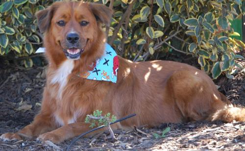 335764_271000999604646_1361966726_o