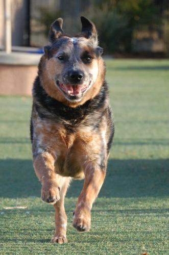 68417_452394751465269_164797287_n