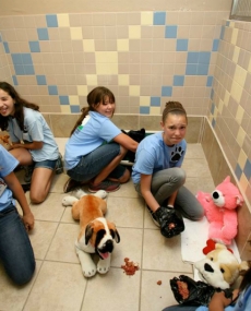 thumbs_10353623_320916584726005_8384931622562898499_n