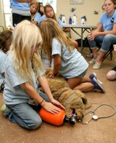 thumbs_10354753_321877537963243_176424597311695416_n