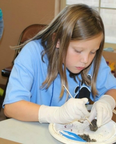 thumbs_11168900_492057357611926_8662747833112003112_n