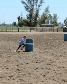 thumbs_11214123_492053204279008_7399362456038131689_n