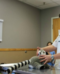 thumbs_11219539_492052610945734_2567702466832886939_n