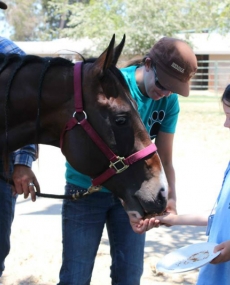 thumbs_11239648_492053120945683_535007145548337367_n